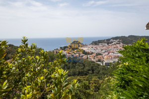 House №8916 in Tossa de Mar