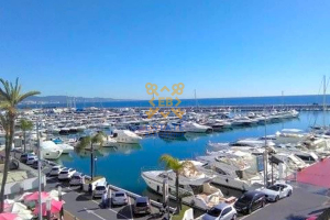 Flat №27329 in Puerto Banus