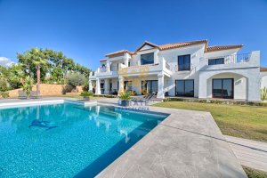 Villa №33913 in Spain