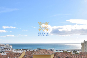 Duplex №25546 in Estepona